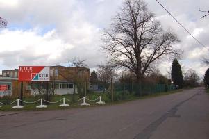site of former Chawston House lies behind the tree Mar 2007